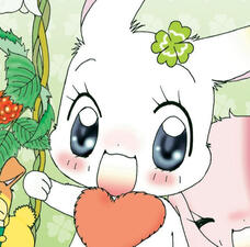 Clover (Happy Happy Clover) Clover (Happy Happy Clover)