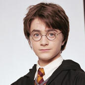 Harry Potter (Harry Potter) Harry Potter (Harry Potter)